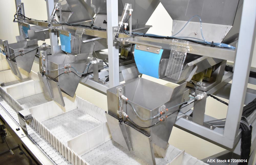 Actionpac B300/MC Multihead Weigher Mixing Line